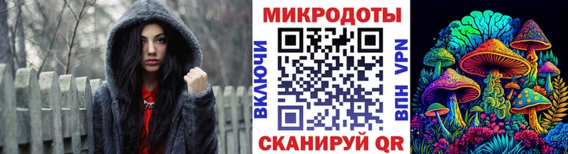 Галлюциногенные грибы Psilocybe  Юрга 