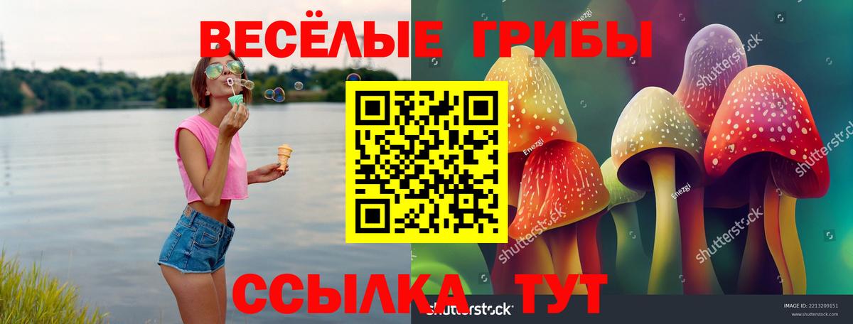 Юрга  Галлюциногенные грибы MAGIC MUSHROOMS  Вход с VPN 